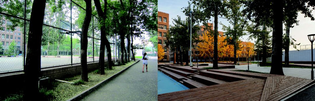 「AT」重讲校园故事——北大附中本校及朝阳未来学校校园景观改造,byCrossboundaries