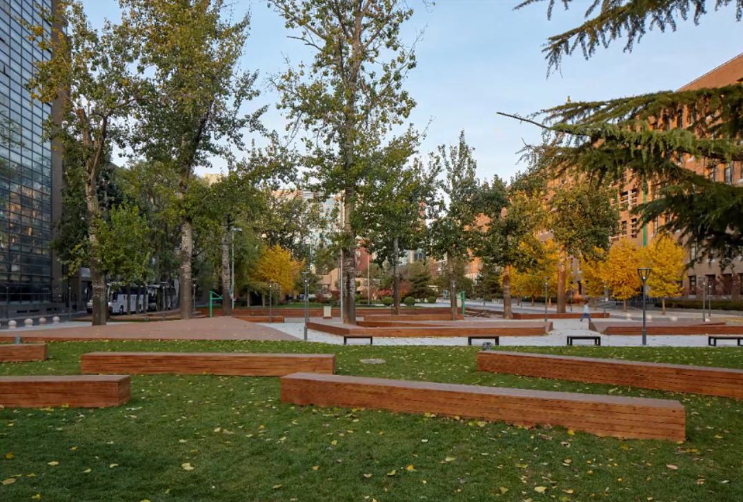 「AT」重讲校园故事——北大附中本校及朝阳未来学校校园景观改造,byCrossboundaries