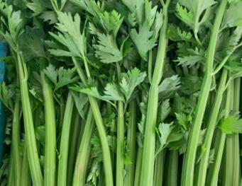 樱桃的保存方法保鲜还是冷冻,樱桃保存最佳方法快递