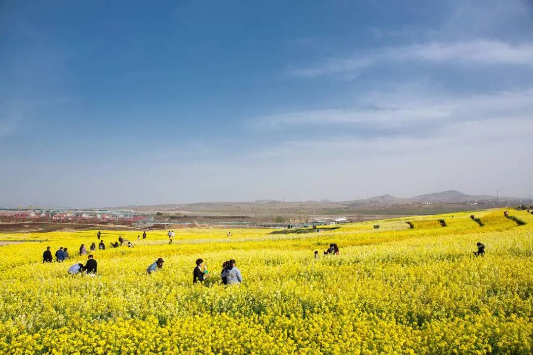 我从花海中归来！花仙子4月15日盛大开园
