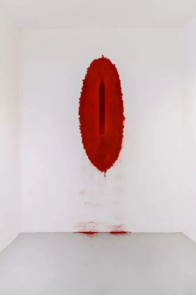 卡普尔来了，却没有人真正看懂他