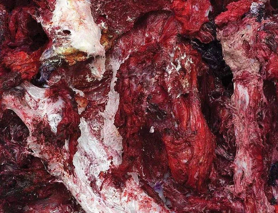 卡普尔来了，却没有人真正看懂他