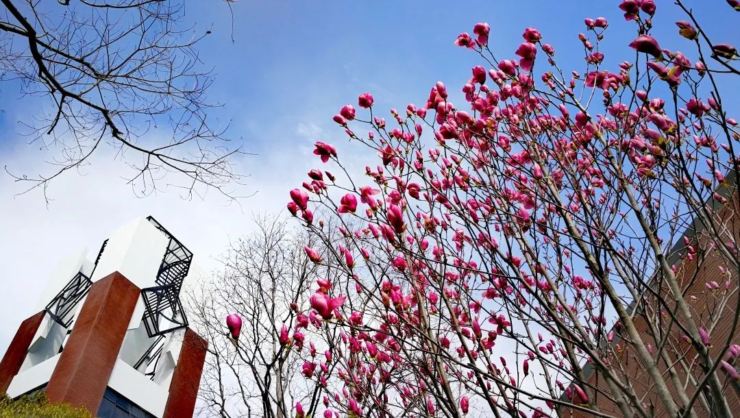 四月校园联谊,四月相聚