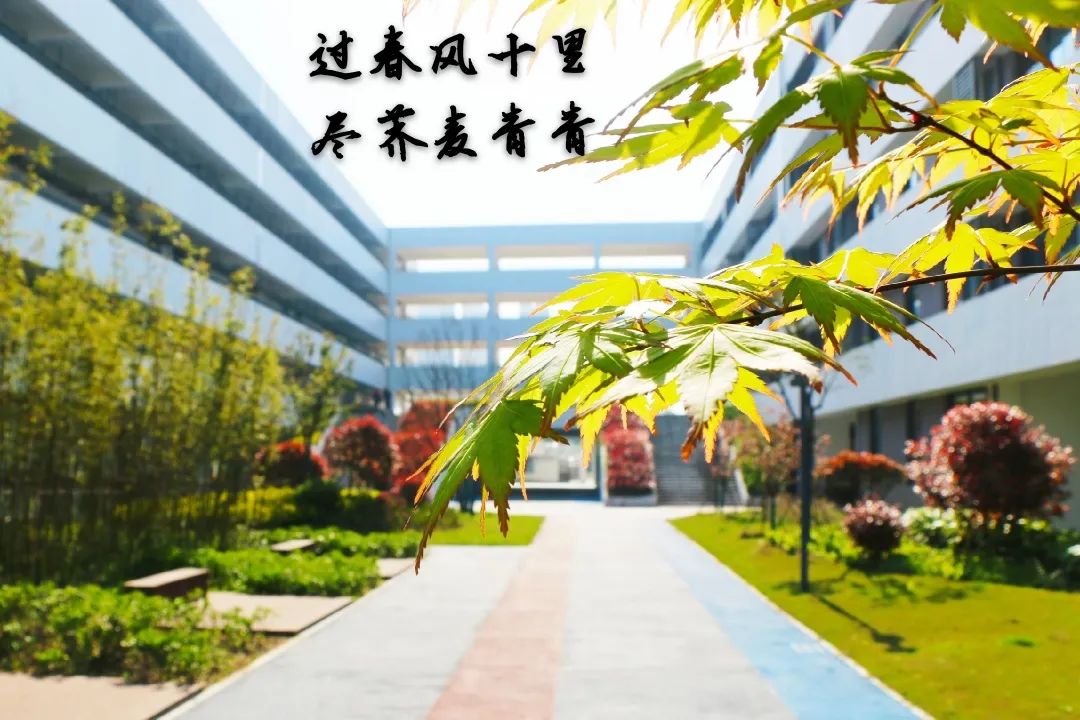 四月校园联谊,四月相聚