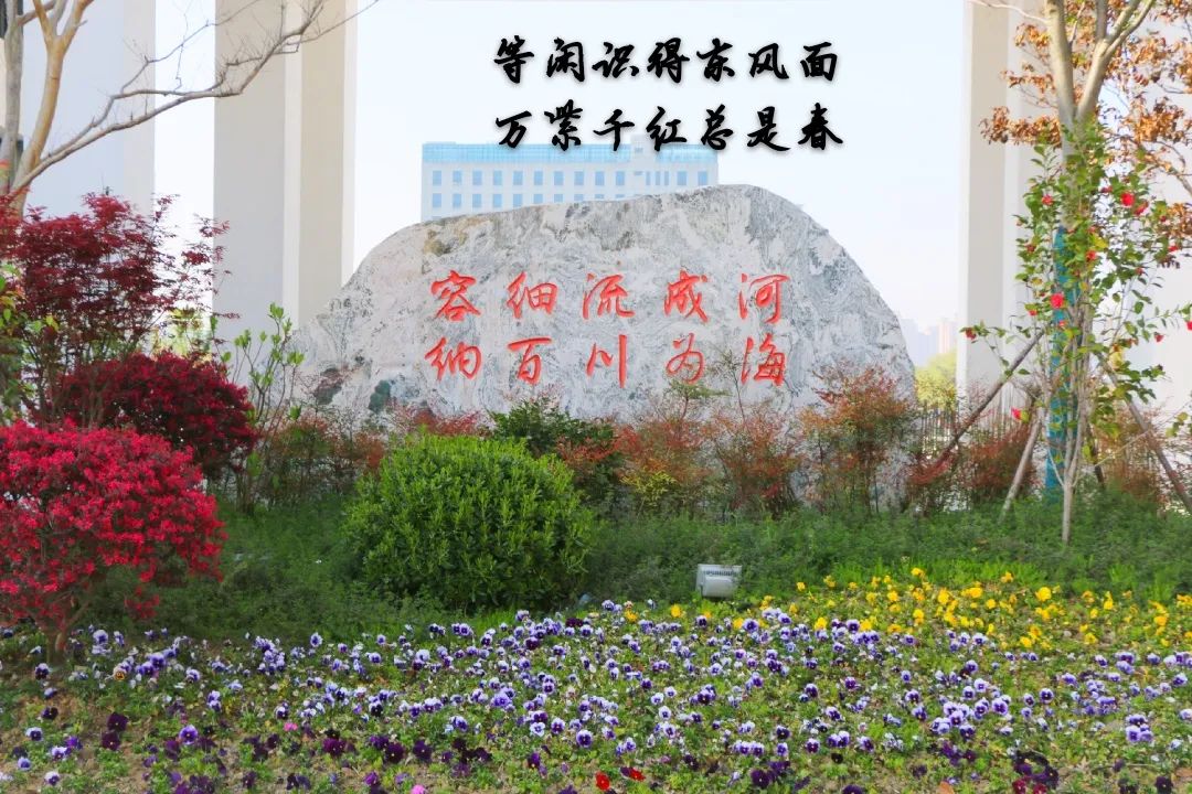 四月校园联谊,四月相聚