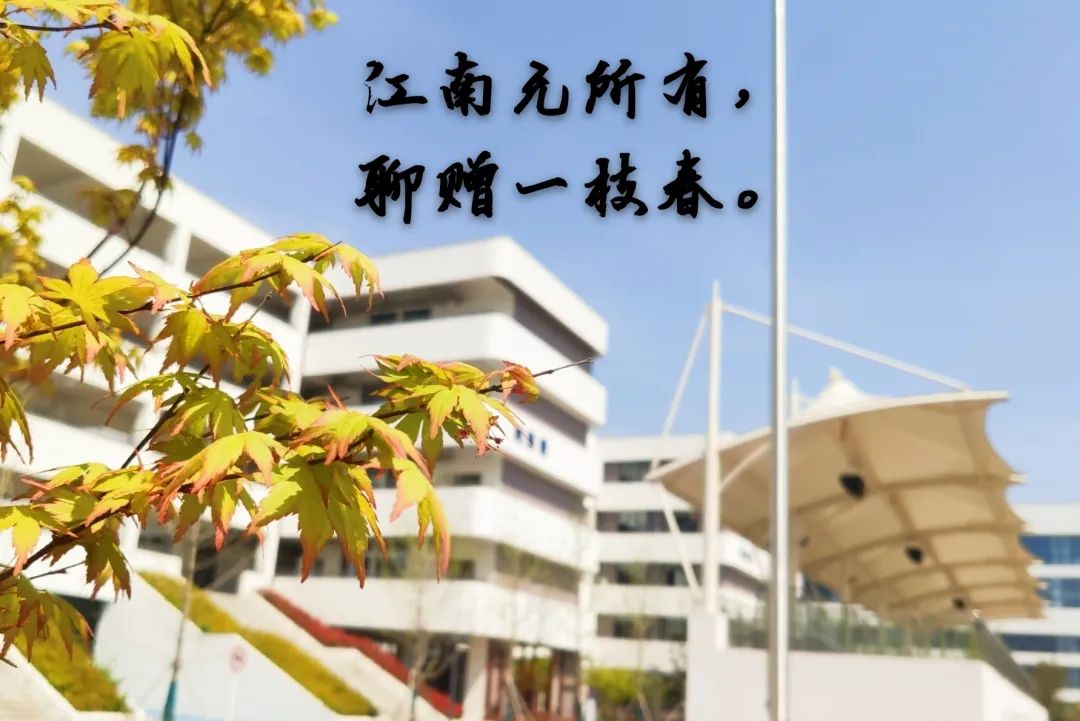 四月校园联谊,四月相聚