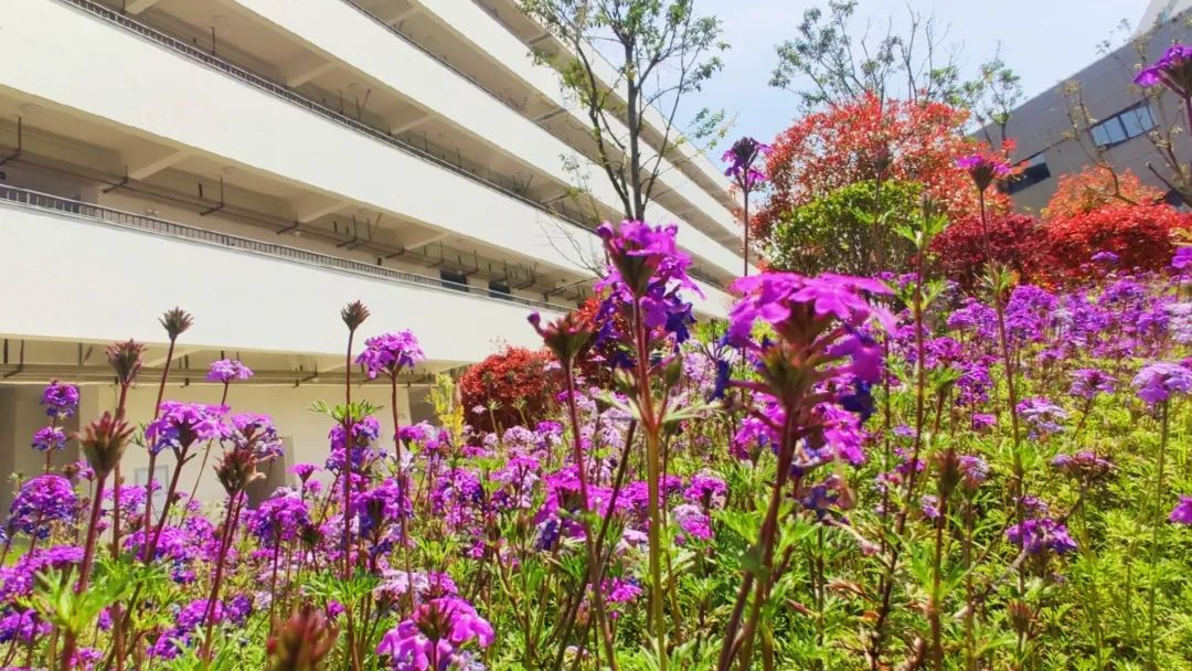 四月校园联谊,四月相聚