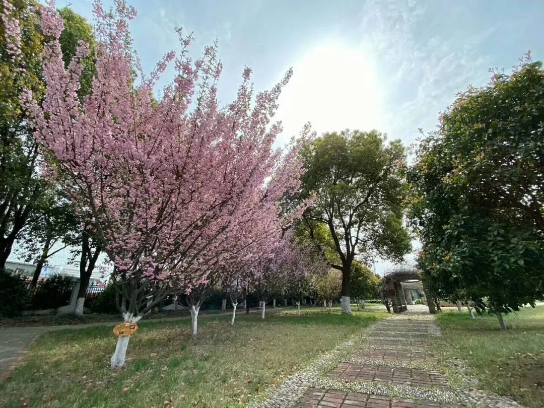 四月校园联谊,四月相聚