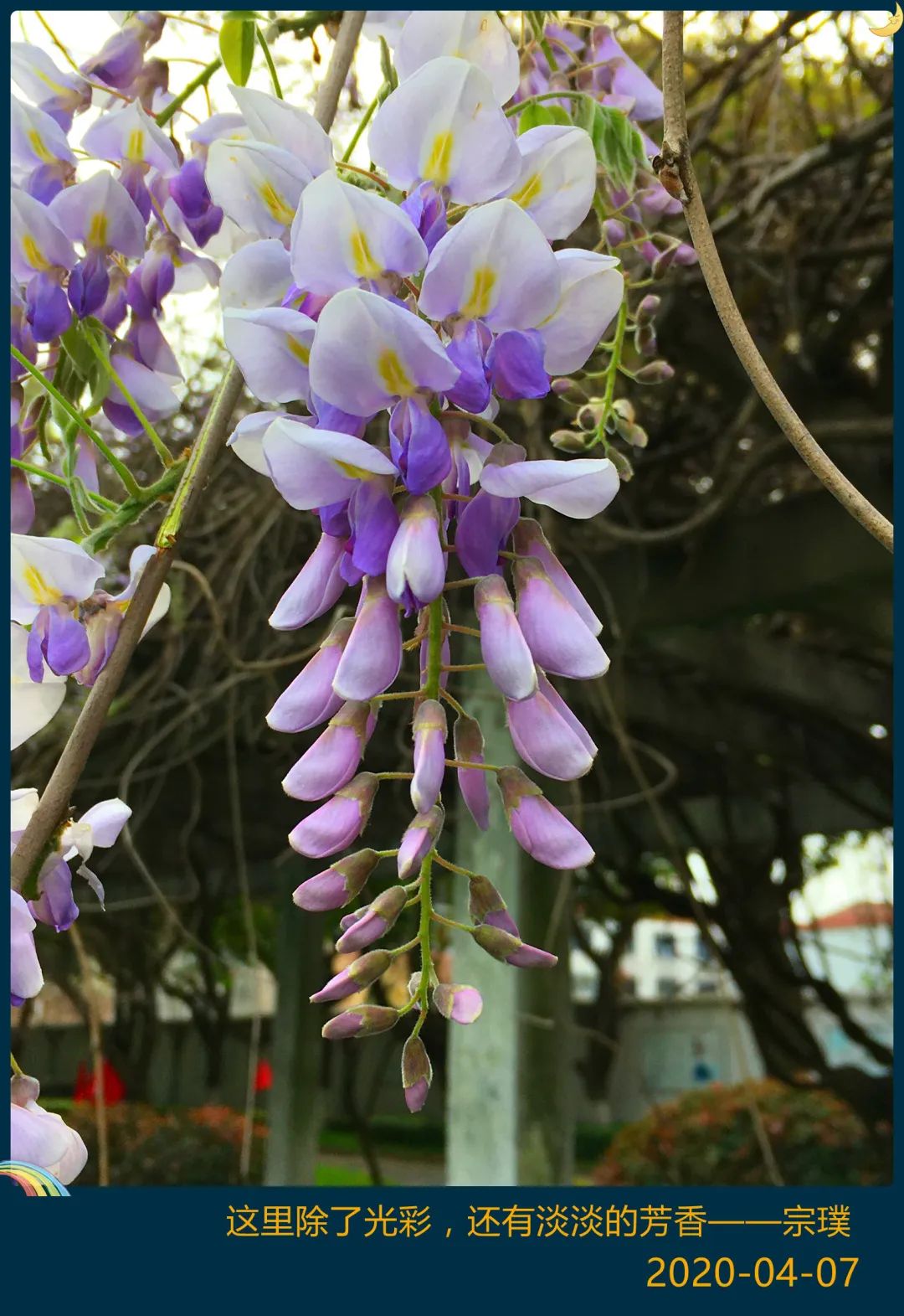 四月校园联谊,四月相聚