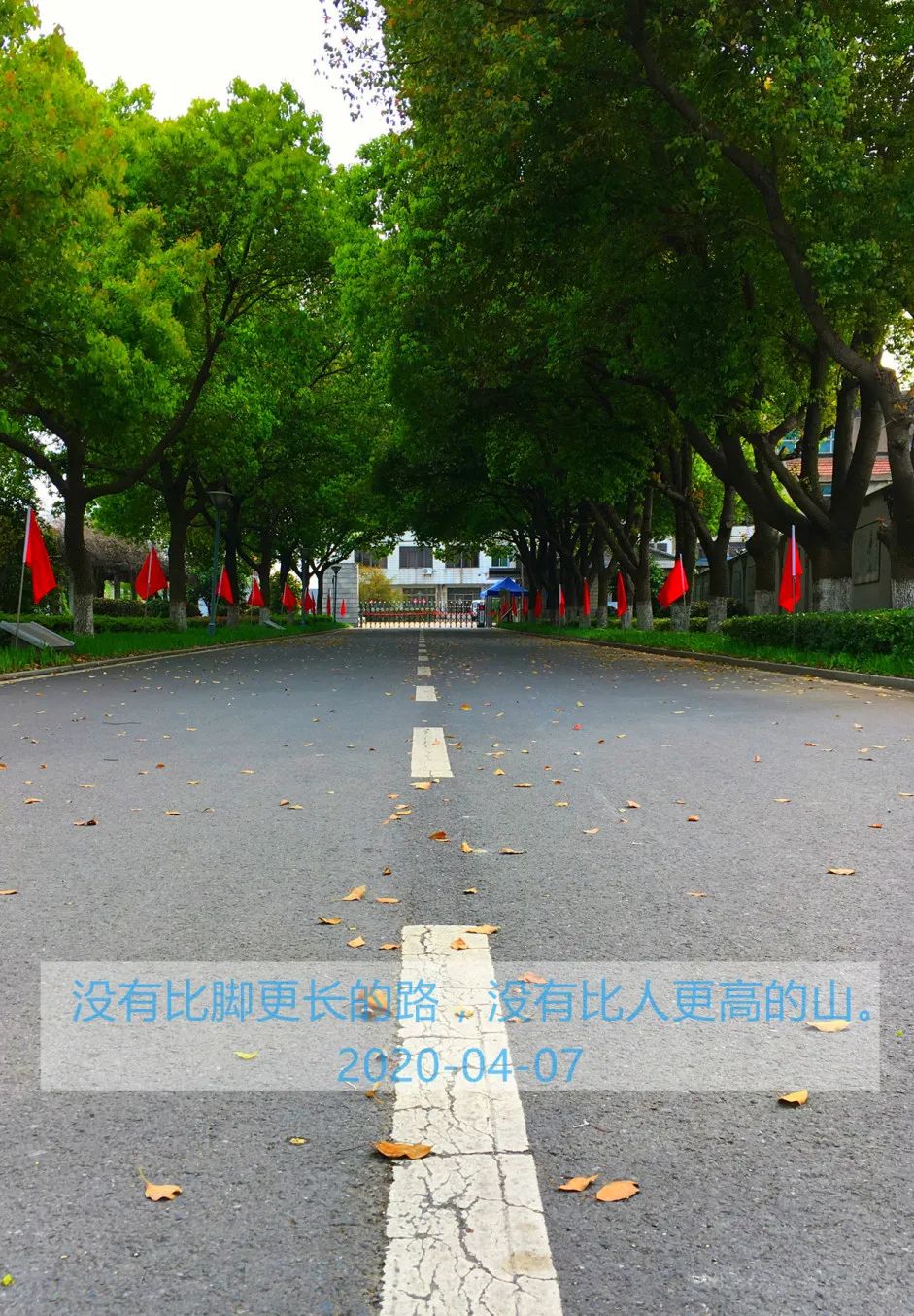 四月校园联谊,四月相聚