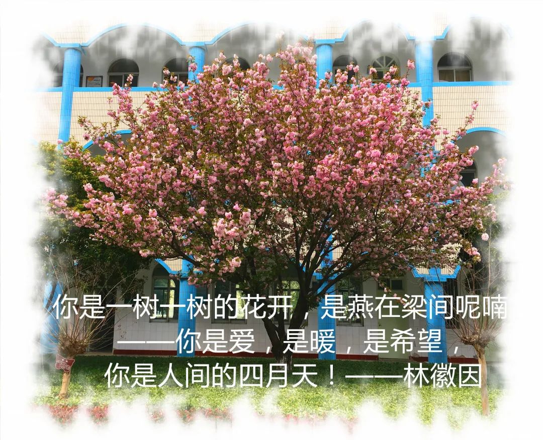 四月校园联谊,四月相聚