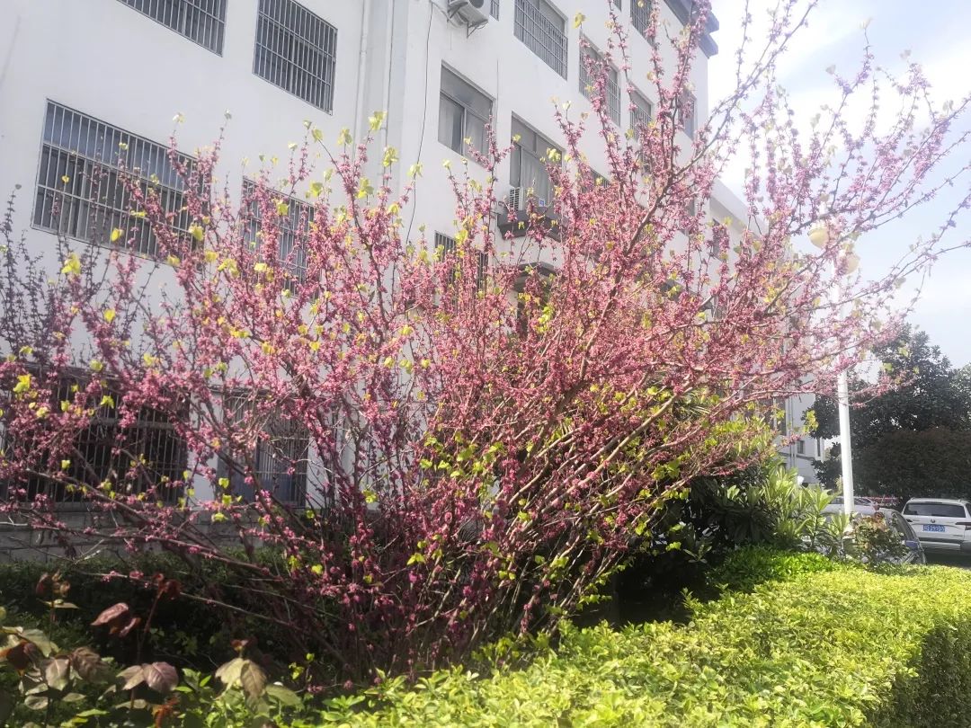 四月校园联谊,四月相聚