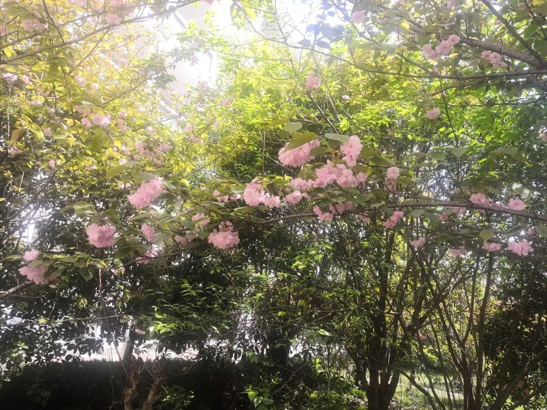 四月校园联谊,四月相聚