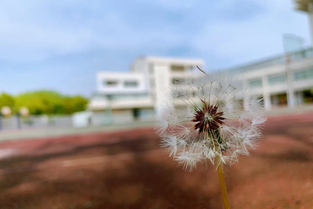 四月校园联谊,四月相聚