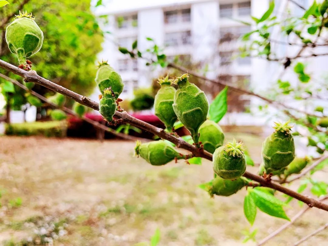 四月校园联谊,四月相聚