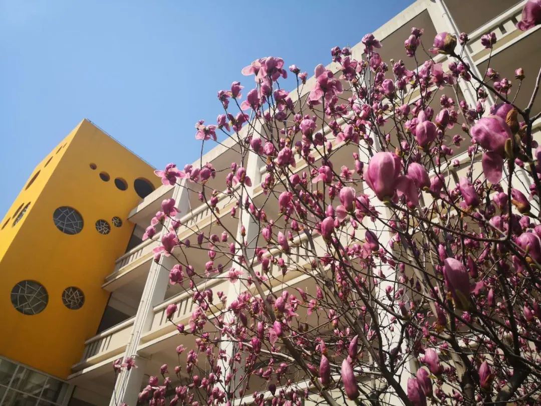 四月校园联谊,四月相聚