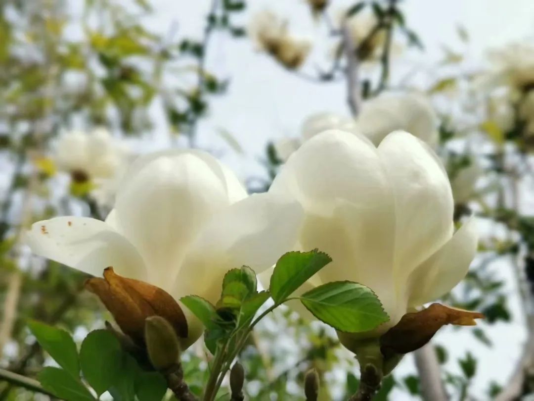 四月校园联谊,四月相聚