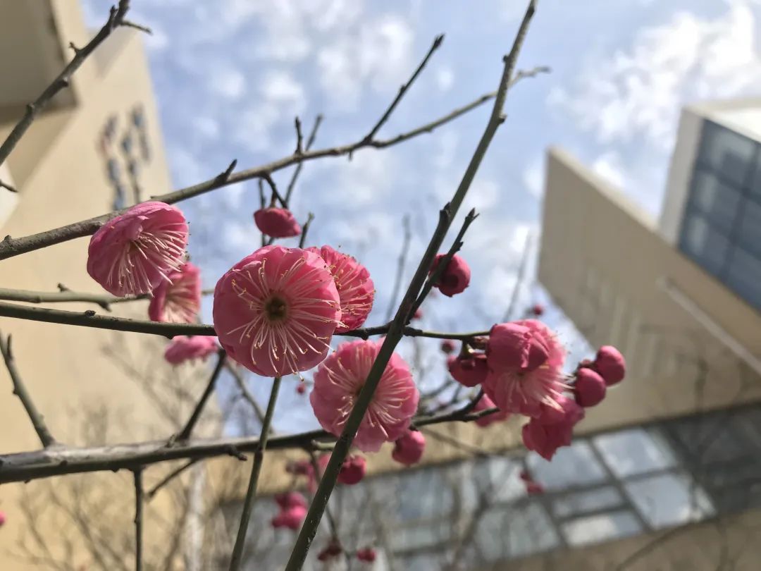 四月校园联谊,四月相聚