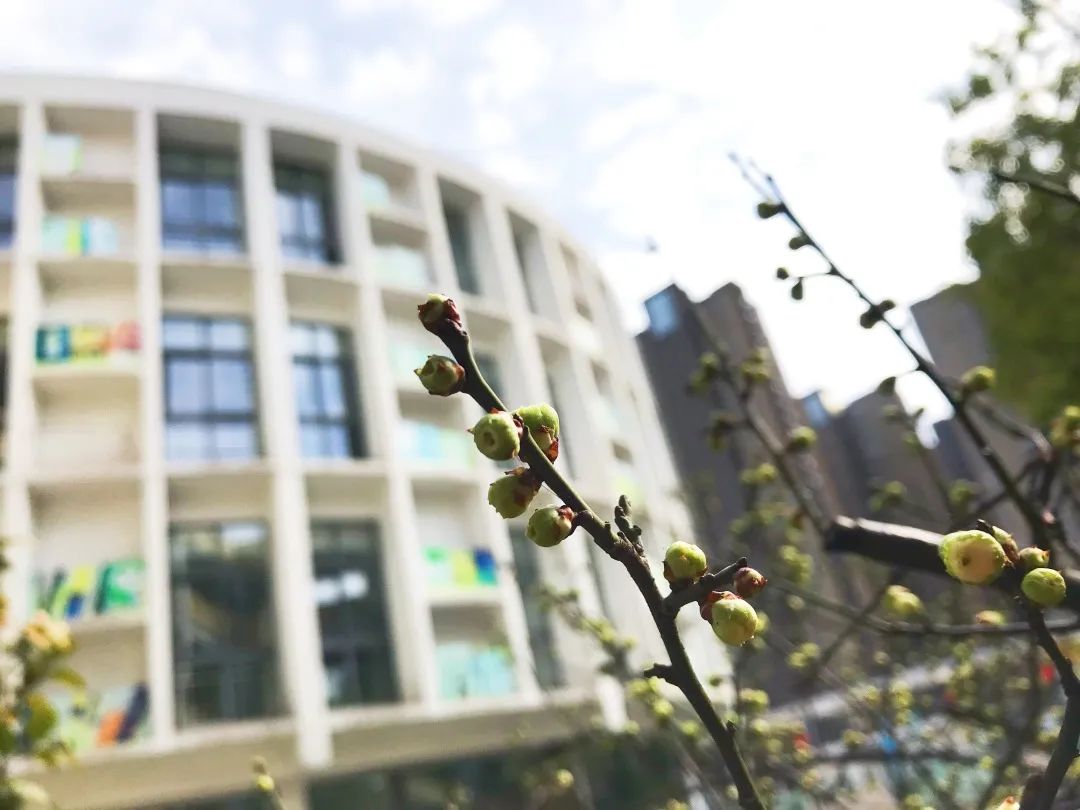 四月校园联谊,四月相聚