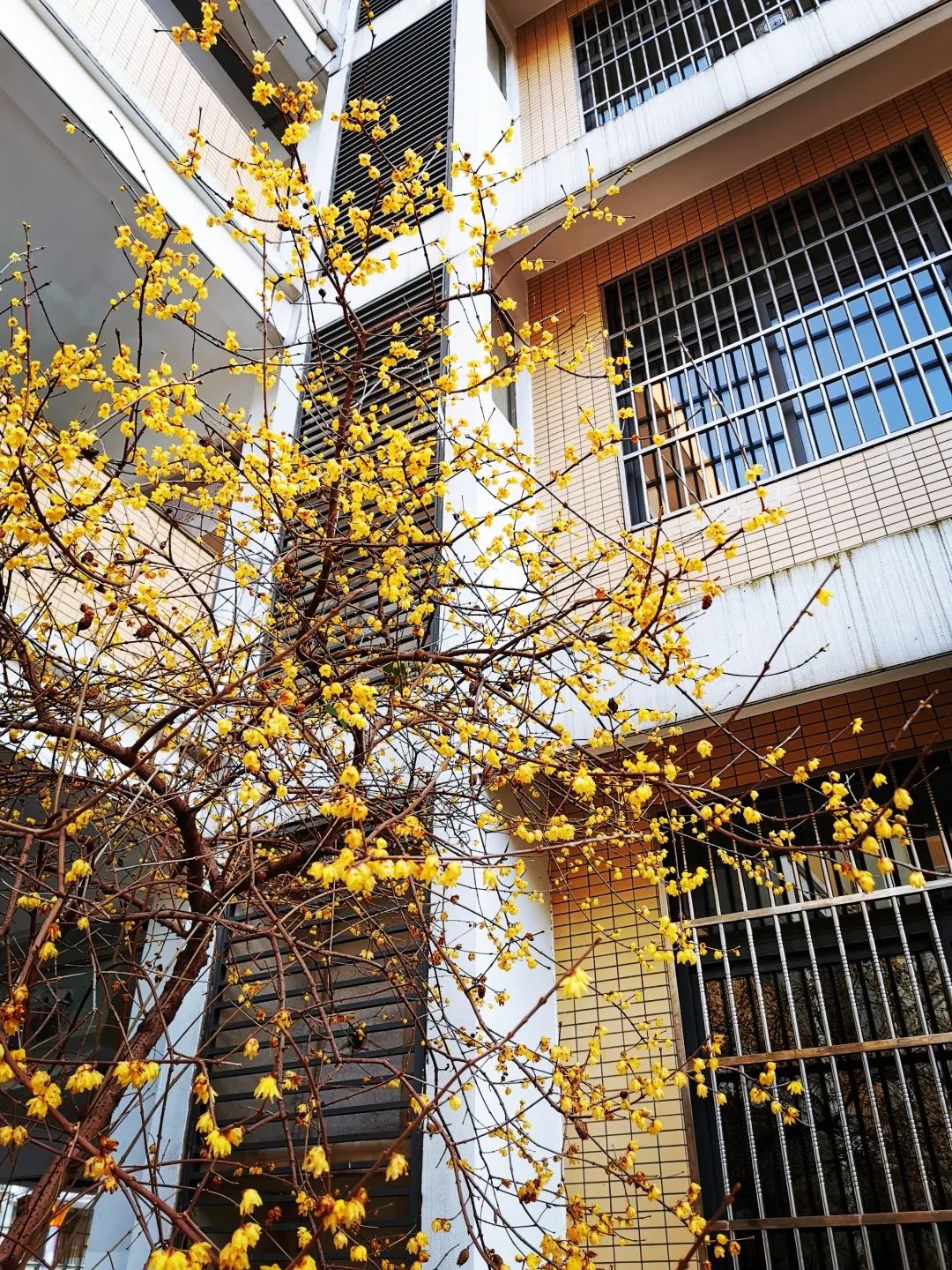 四月校园联谊,四月相聚