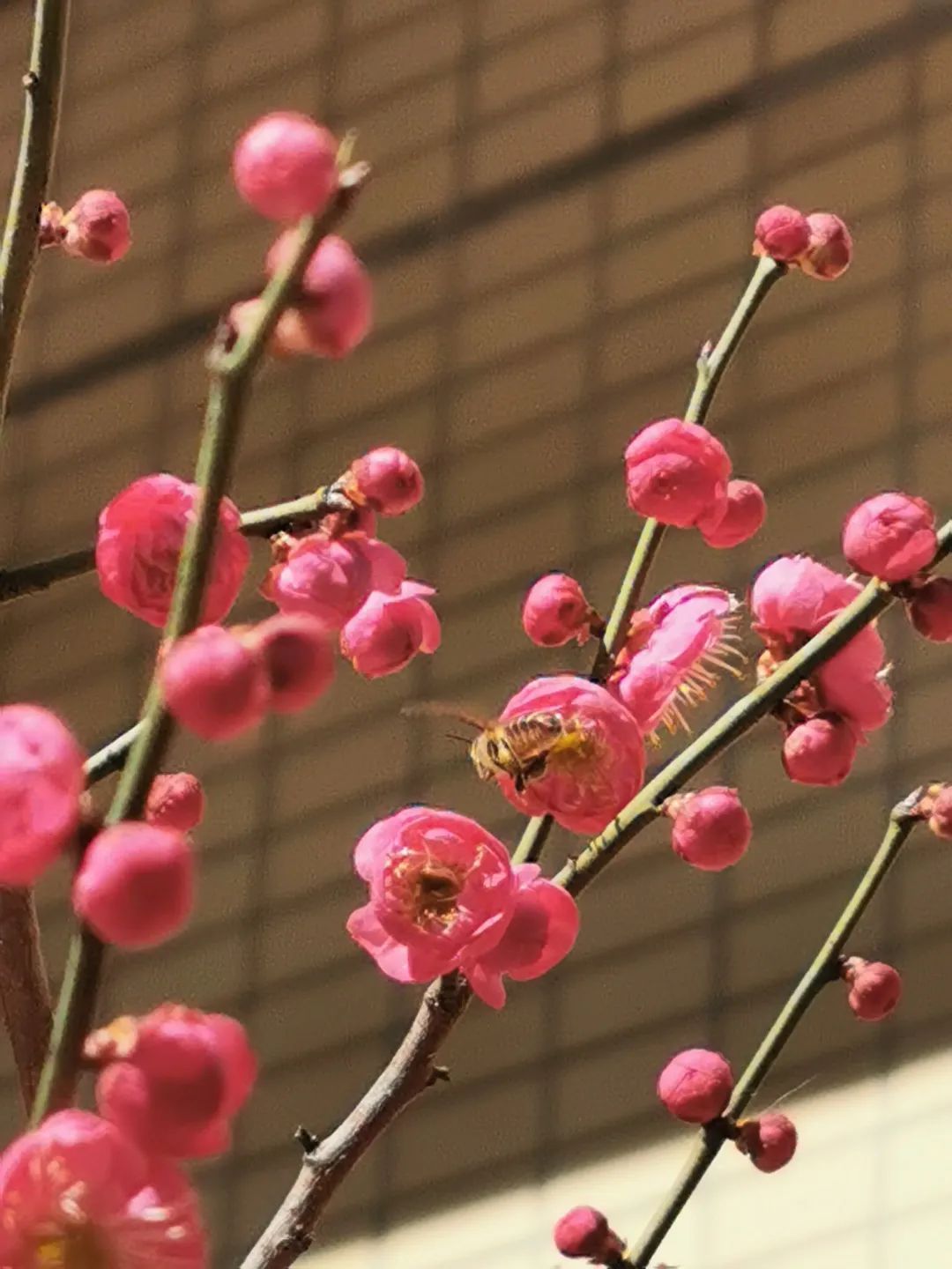 四月校园联谊,四月相聚