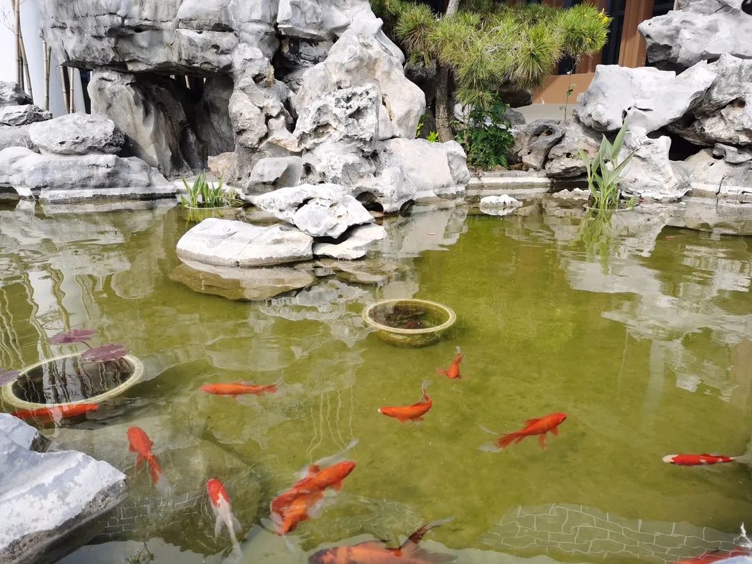 四月校园联谊,四月相聚