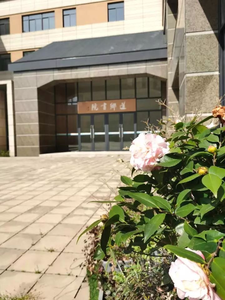 四月校园联谊,四月相聚