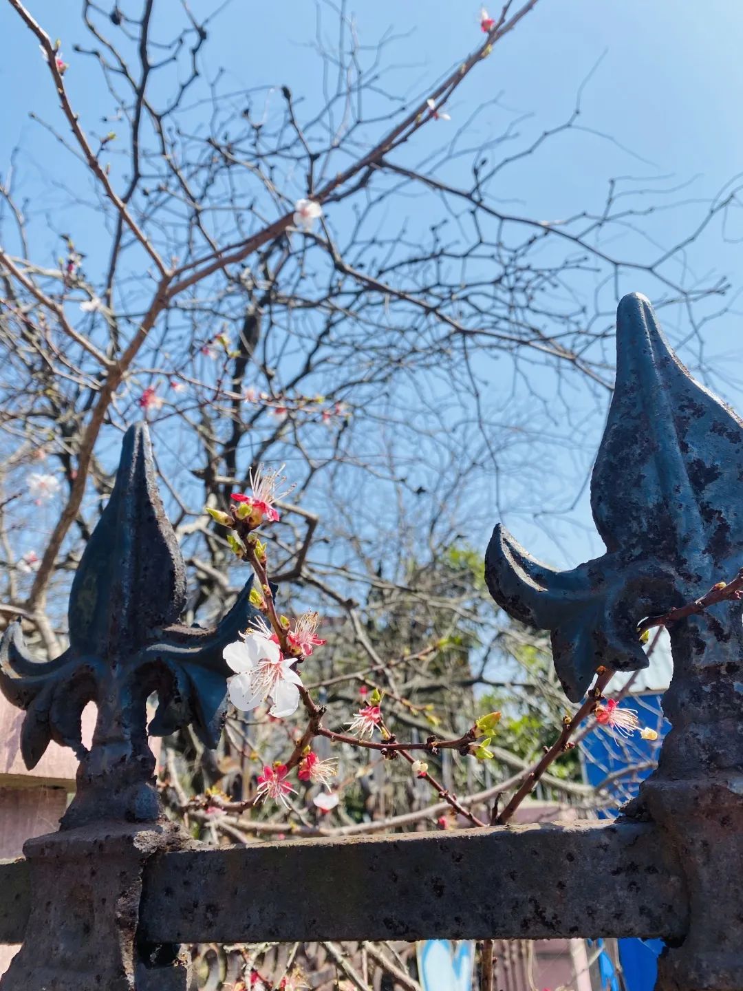 四月校园联谊,四月相聚