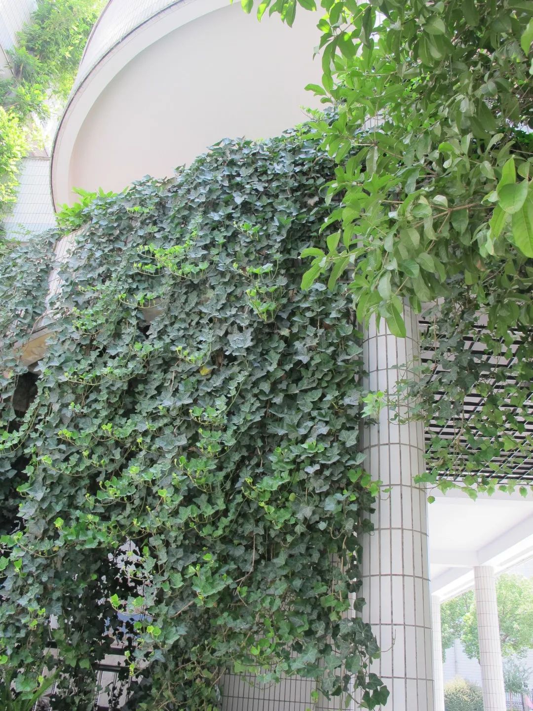 四月校园联谊,四月相聚