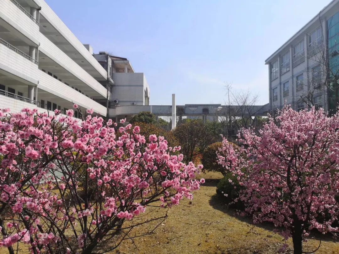 四月校园联谊,四月相聚