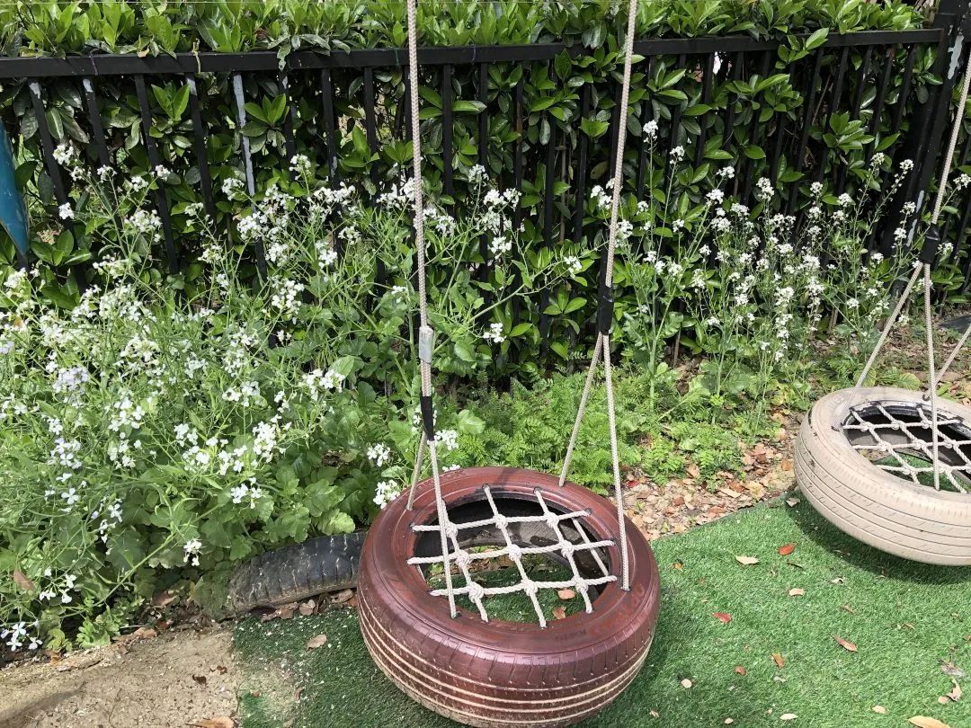 四月校园联谊,四月相聚