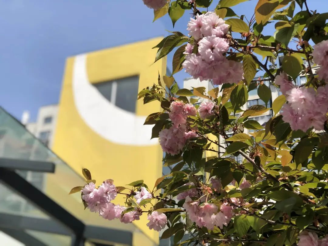 四月校园联谊,四月相聚