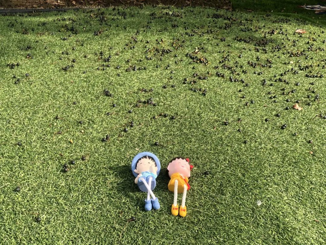 四月校园联谊,四月相聚