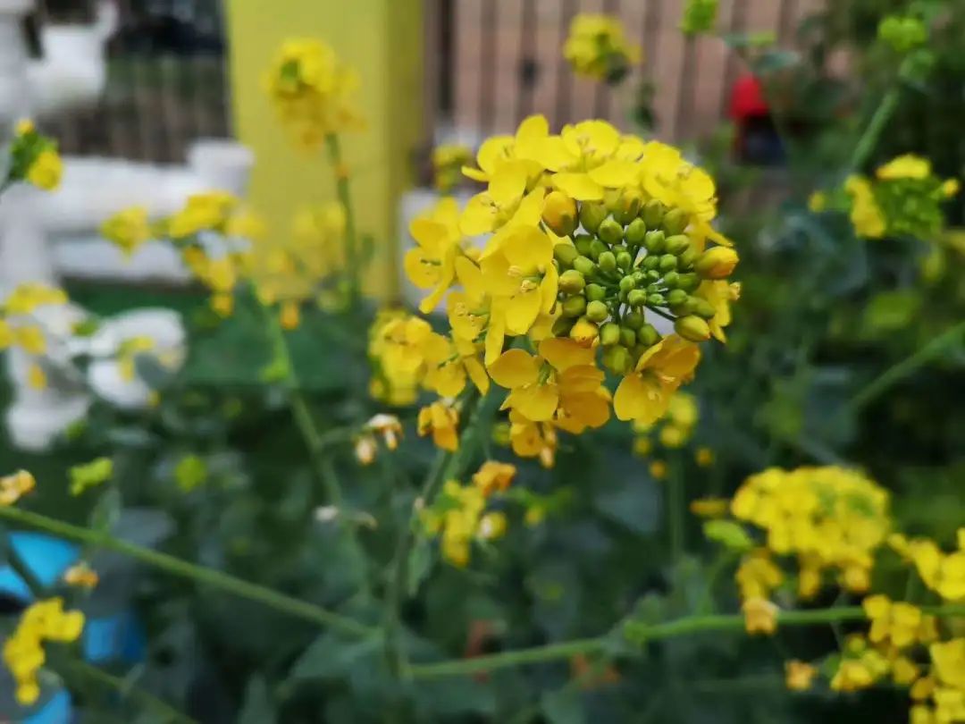 四月校园联谊,四月相聚