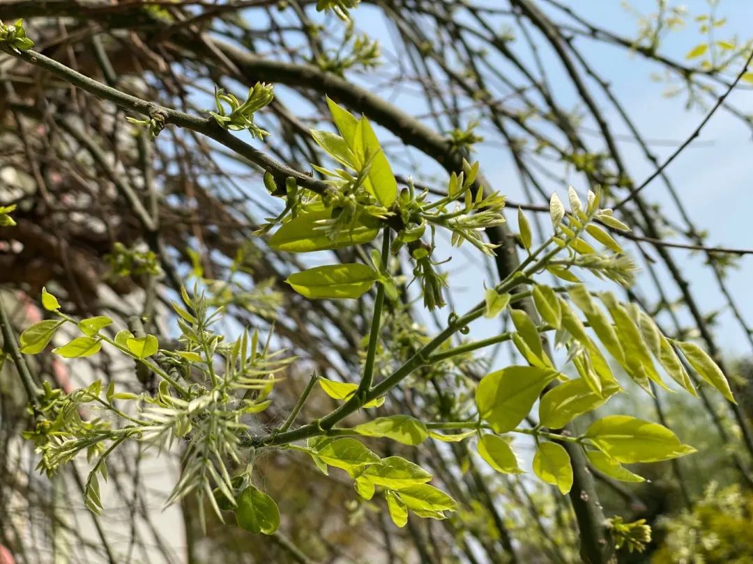 四月校园联谊,四月相聚