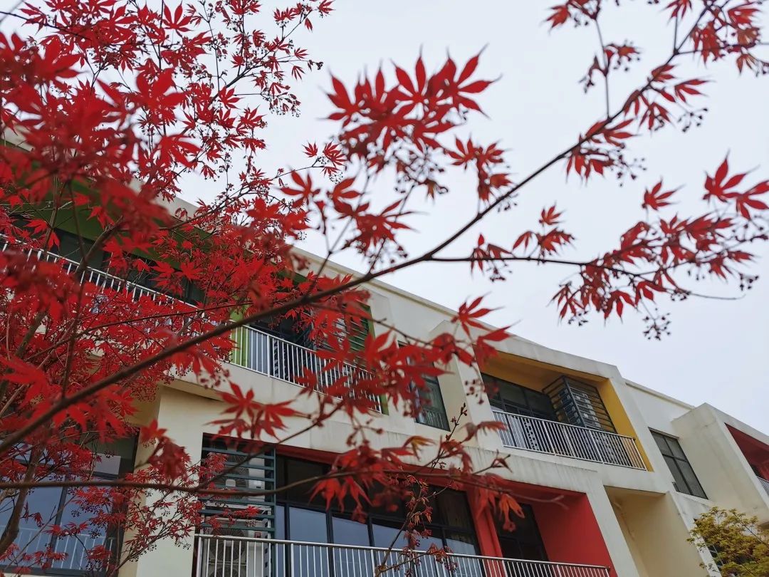 四月校园联谊,四月相聚