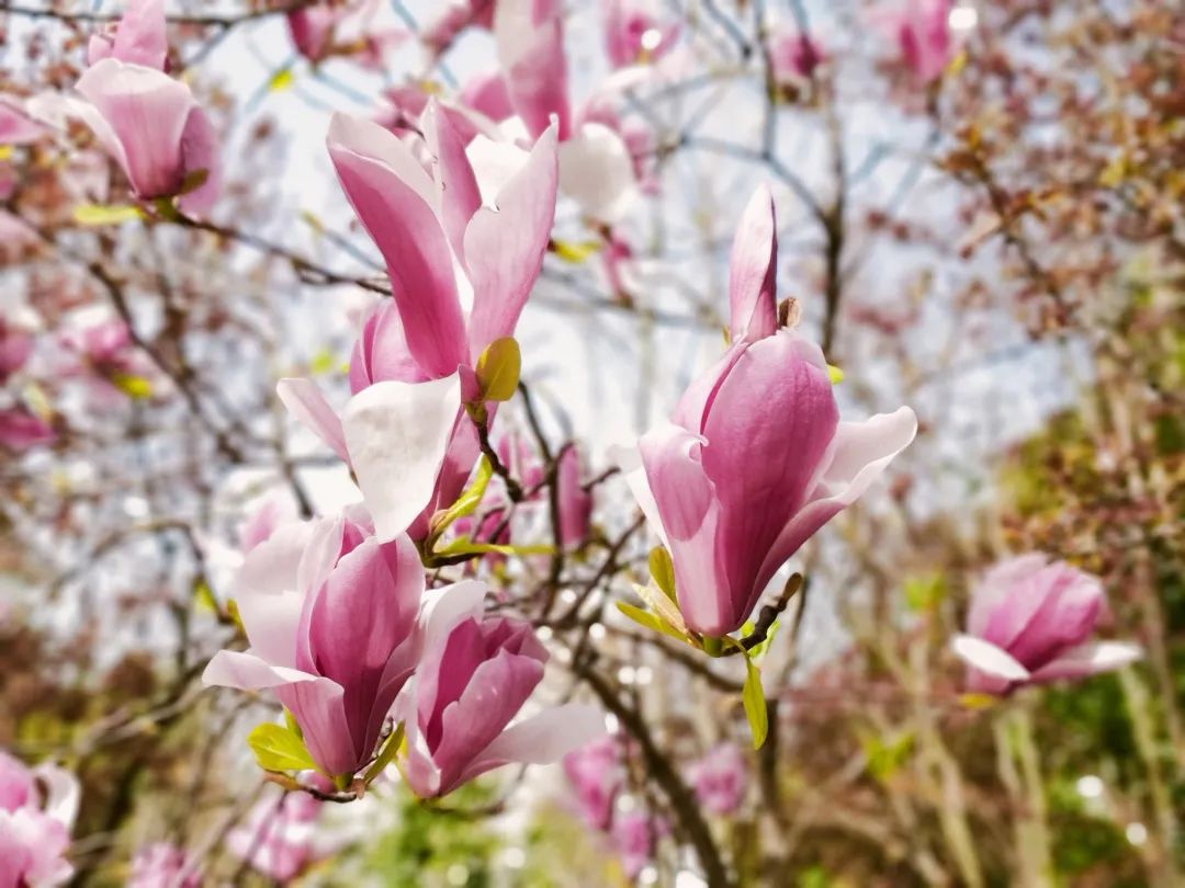 四月校园联谊,四月相聚