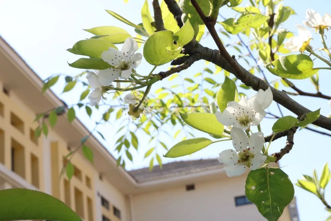 四月校园联谊,四月相聚