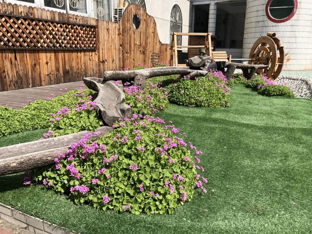 四月校园联谊,四月相聚