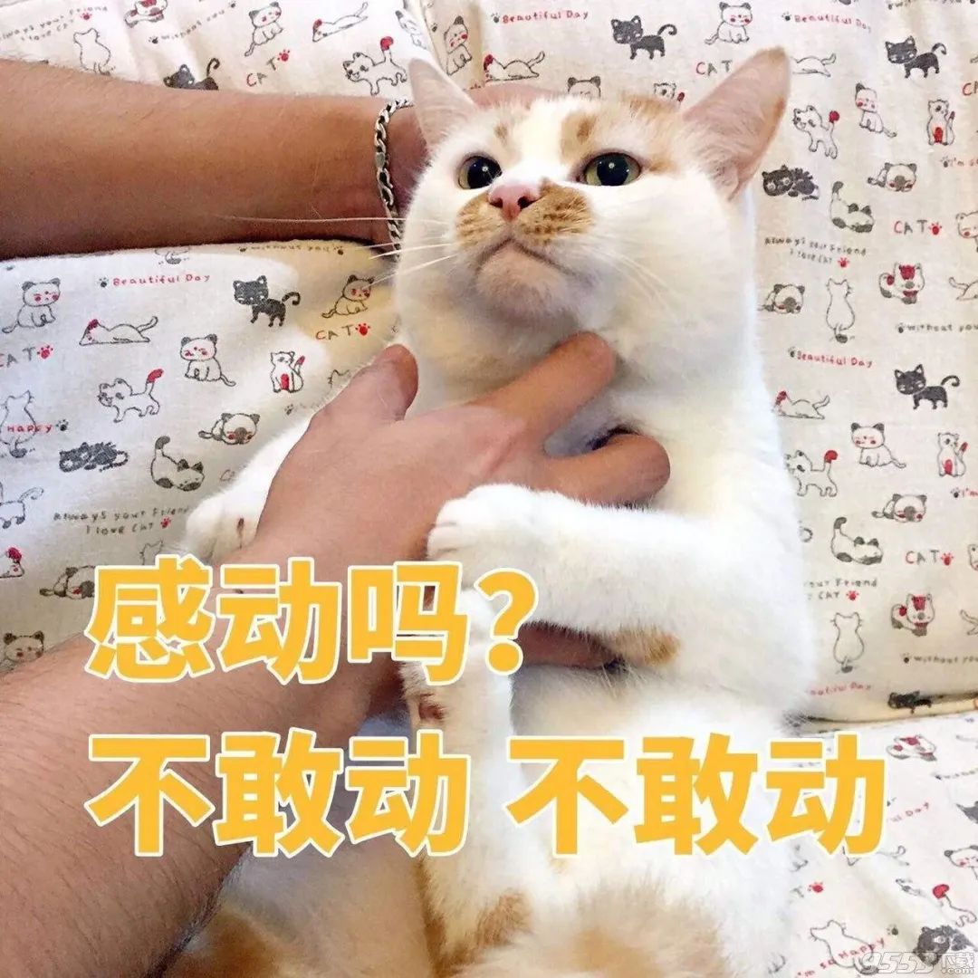 正品colourpop哪里买,colourpop怎么买正品