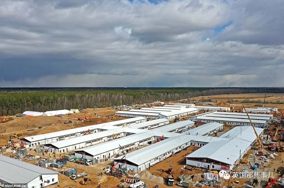 近期俄罗斯飞机情况,俄罗斯航班最新事件