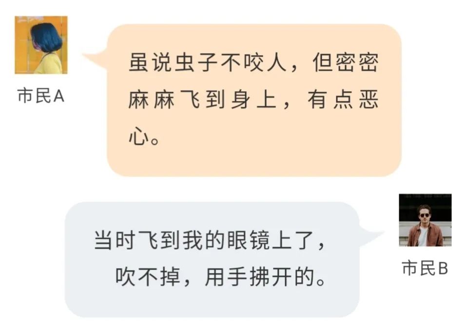 致命来袭十种最危险的昆虫,防不胜防的昆虫