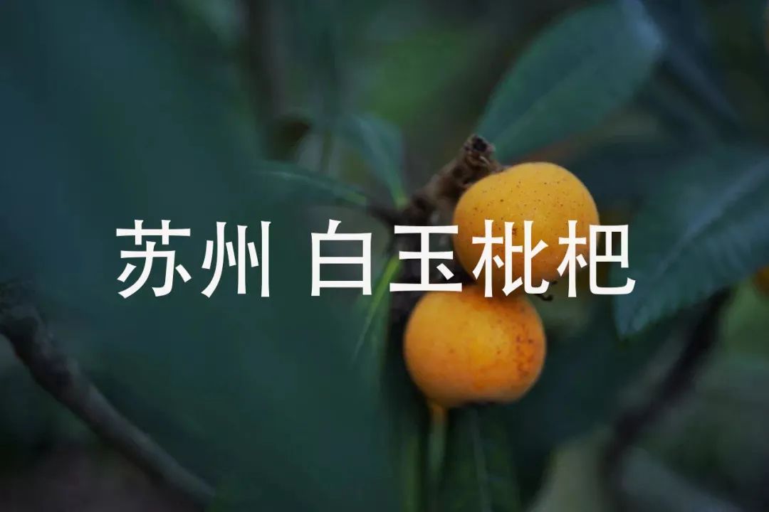 是我长大了，还是这些童年饮料不好喝了？15省家乡饮料报告