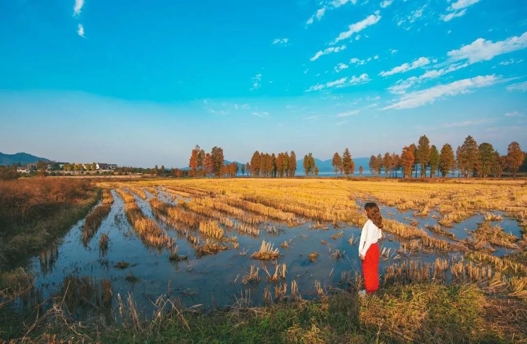 王辰怎样做好保险销售,王辰课堂卖保险的几个心态
