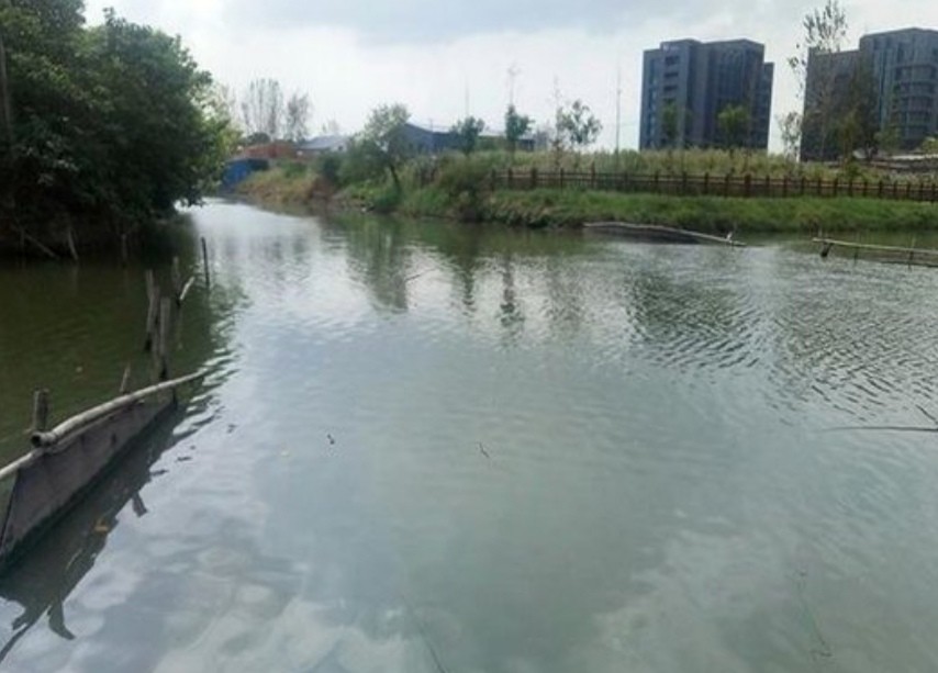 钓大草鱼如何起竿,钓大草鱼诀窍揭秘