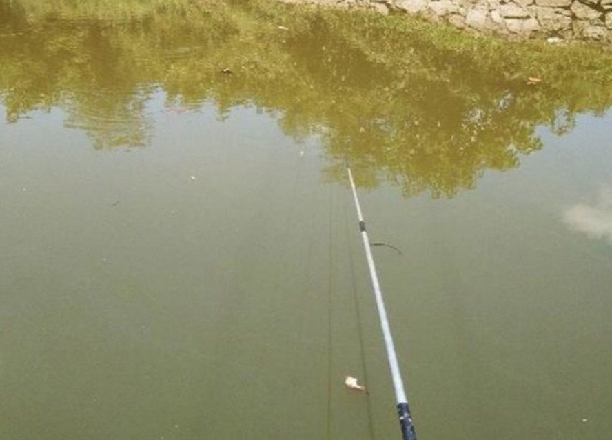 钓大草鱼如何起竿,钓大草鱼诀窍揭秘