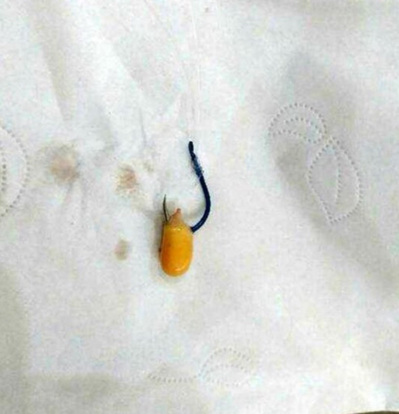 钓大草鱼如何起竿,钓大草鱼诀窍揭秘