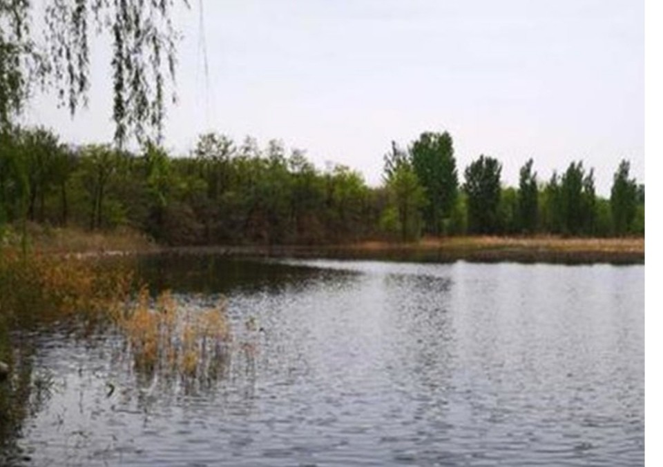 钓大草鱼如何起竿,钓大草鱼诀窍揭秘