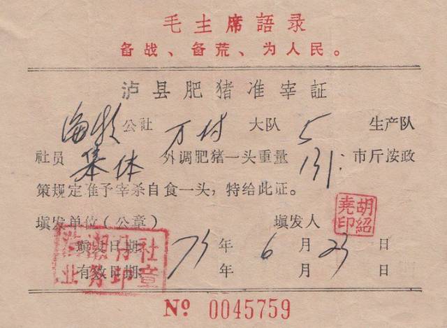 票证一代人的记忆,80年代票证