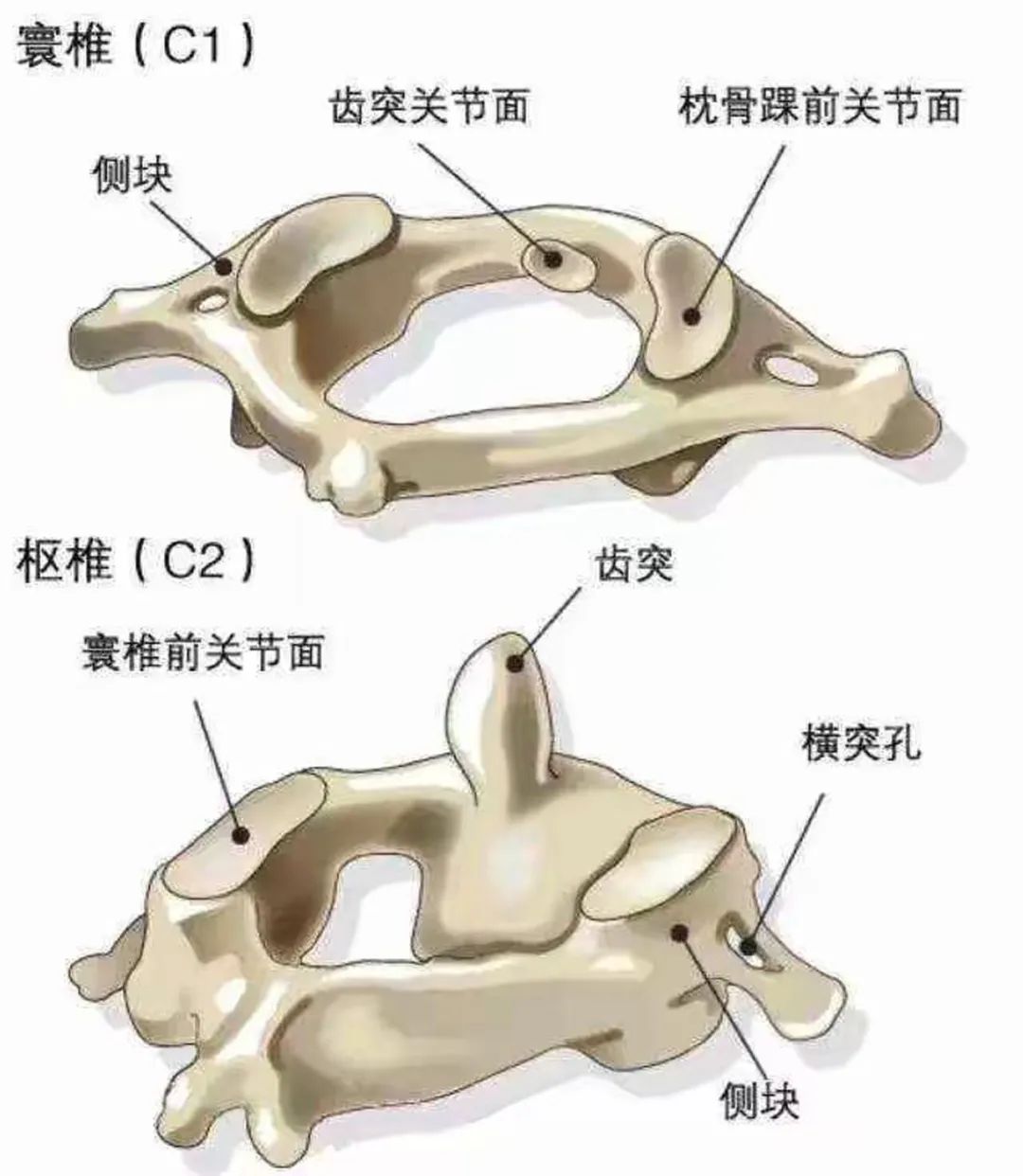 中医院脑病科介入手术,市中医院脑病科